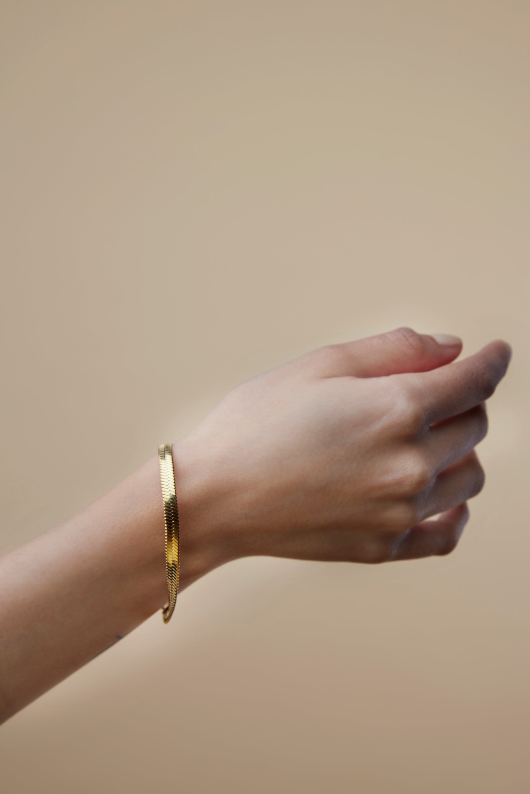 Snake Chain Bracelets